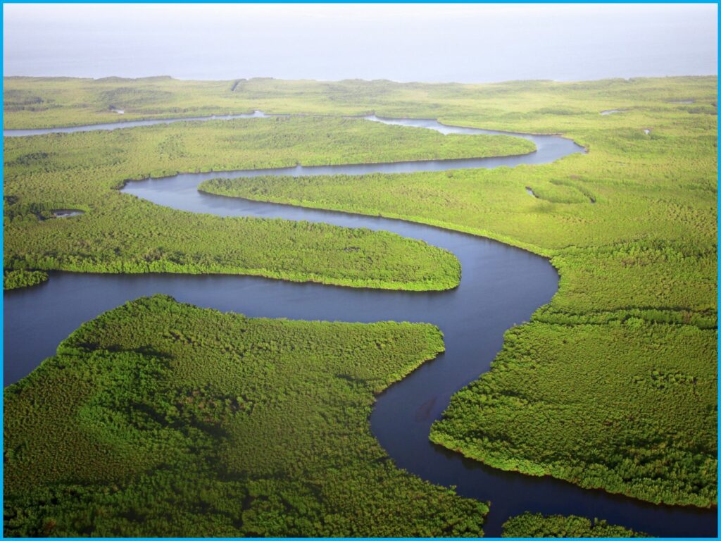 vue aérienne d'un fleuve qui serpente au milieu d'une forêt