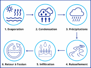 infographie sur le cycle de l'eau